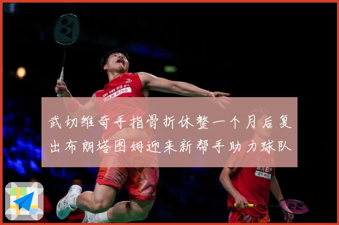 武切维奇手指骨折休整一个月后复出布朗塔图姆迎来新帮手助力球队赛场复盘-深度解析