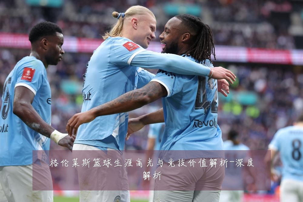 格伦莱斯篮球生涯高光与竞技价值解析-深度解析